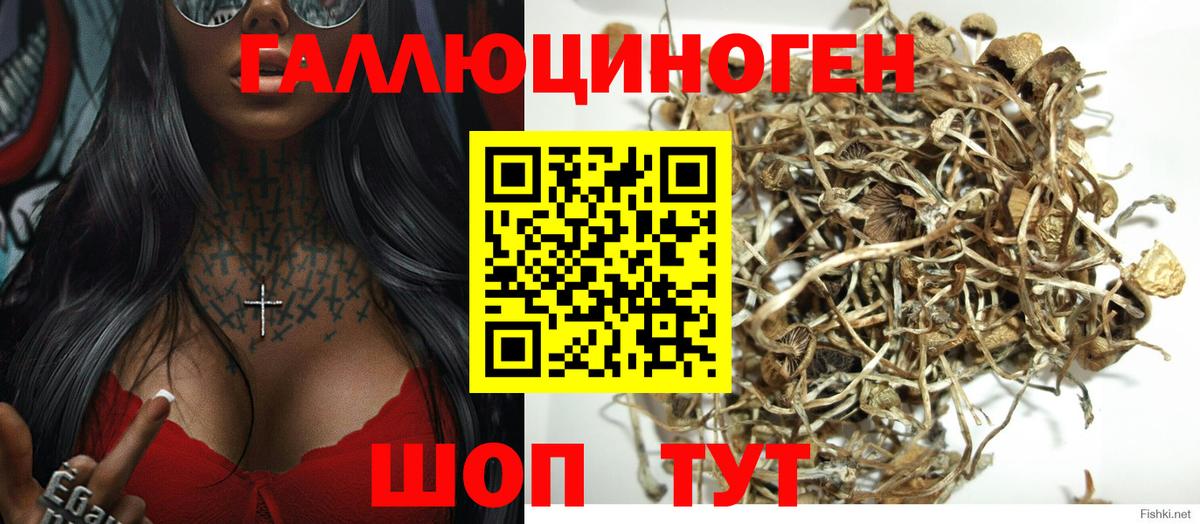 Псилоцибиновые грибы ЛСД Бийск