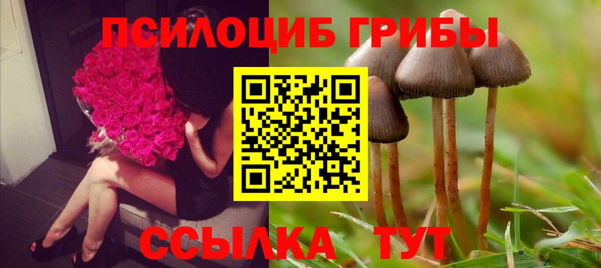 Псилоцибиновые грибы GOLDEN TEACHER  Вход с VPN  Бийск 